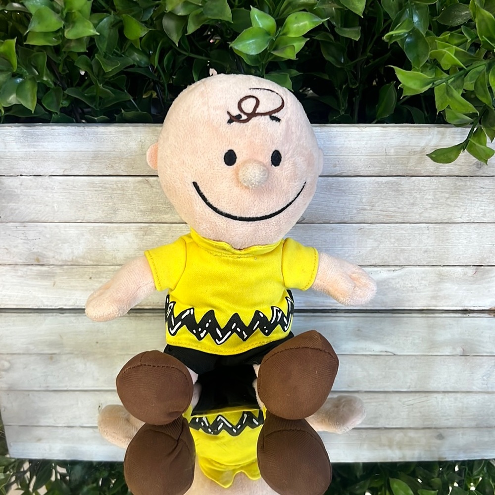 Charlie Brown plush
